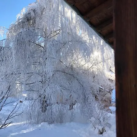 Chalet Les Chardons